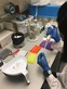 Internship in research laboratory of Department of Psychiatry of Li Ka Shing Faculty Medicine in the University Hong Kong  - Lee Kei Yan - Photo - 3