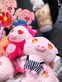Young Entrepreneur 2019 - Angry Pig - Photo - 11