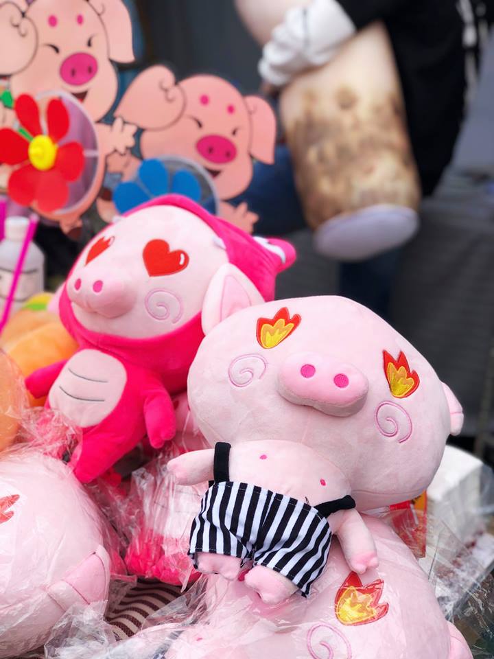 Young Entrepreneur 2019 - Angry Pig - Photo - 11