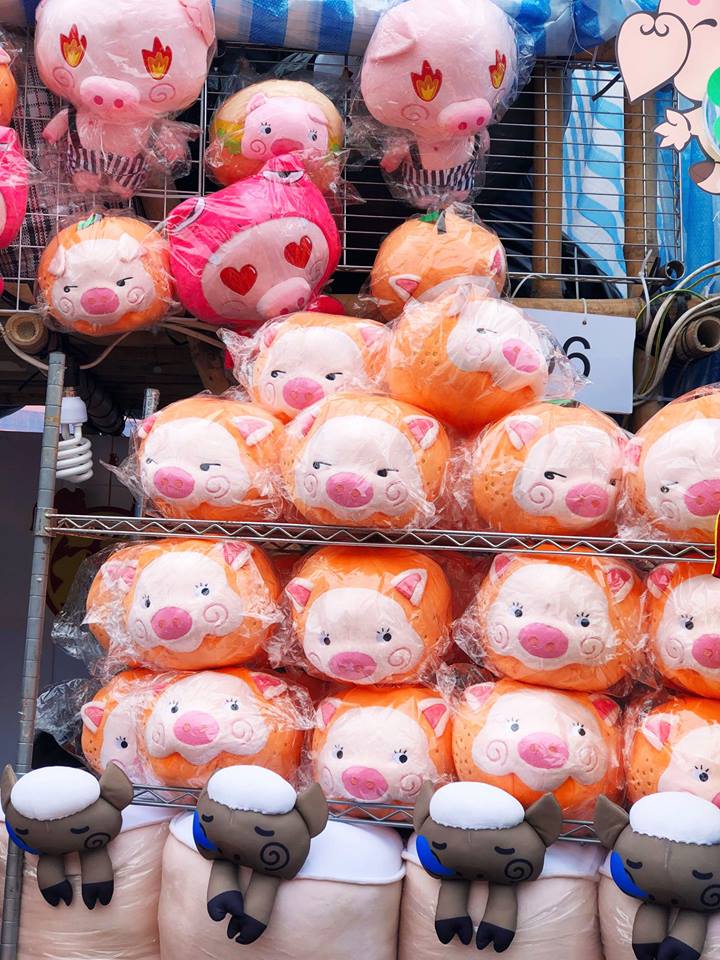 Young Entrepreneur 2019 - Angry Pig - Photo - 9