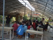 Visit to the Organic Farm Established by Produce Green Foundation (HD in Nutrition and Food Management programme) - Photo - 9