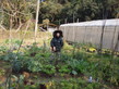 Visit to the Organic Farm Established by Produce Green Foundation (HD in Nutrition and Food Management programme) - Photo - 11