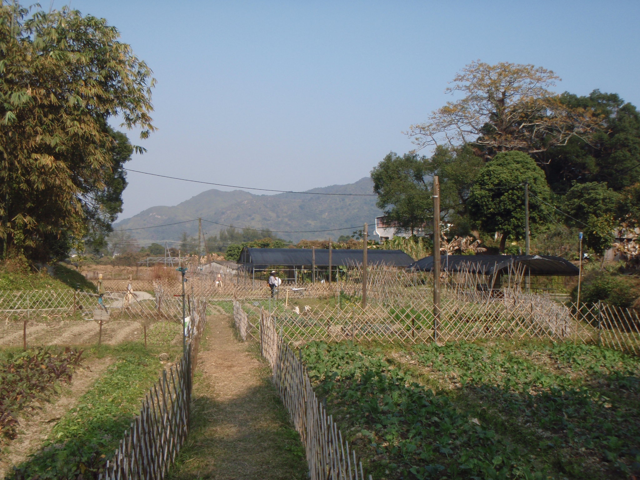 Visit to the Organic Farm Established by Produce Green Foundation (HD in Nutrition and Food Management programme) - Photo - 3