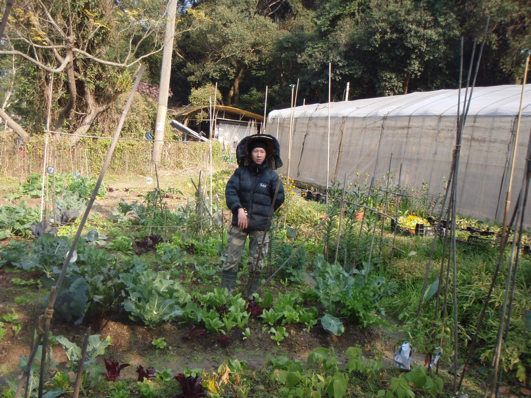 Visit to the Organic Farm Established by Produce Green Foundation (HD in Nutrition and Food Management programme) - Photo - 11