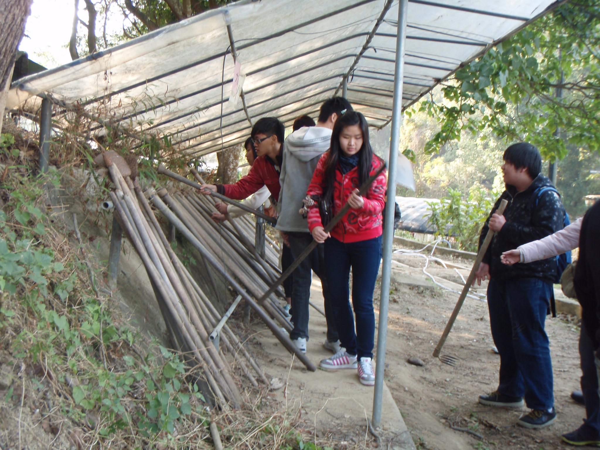 Visit to the Organic Farm Established by Produce Green Foundation (HD in Nutrition and Food Management programme) - Photo - 19