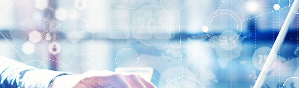 Business Management - Management Studies