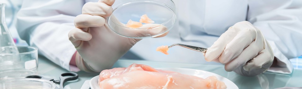 Food Science and Safety (NEW)