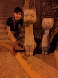 譚雋灝 Tam Chun Ho
